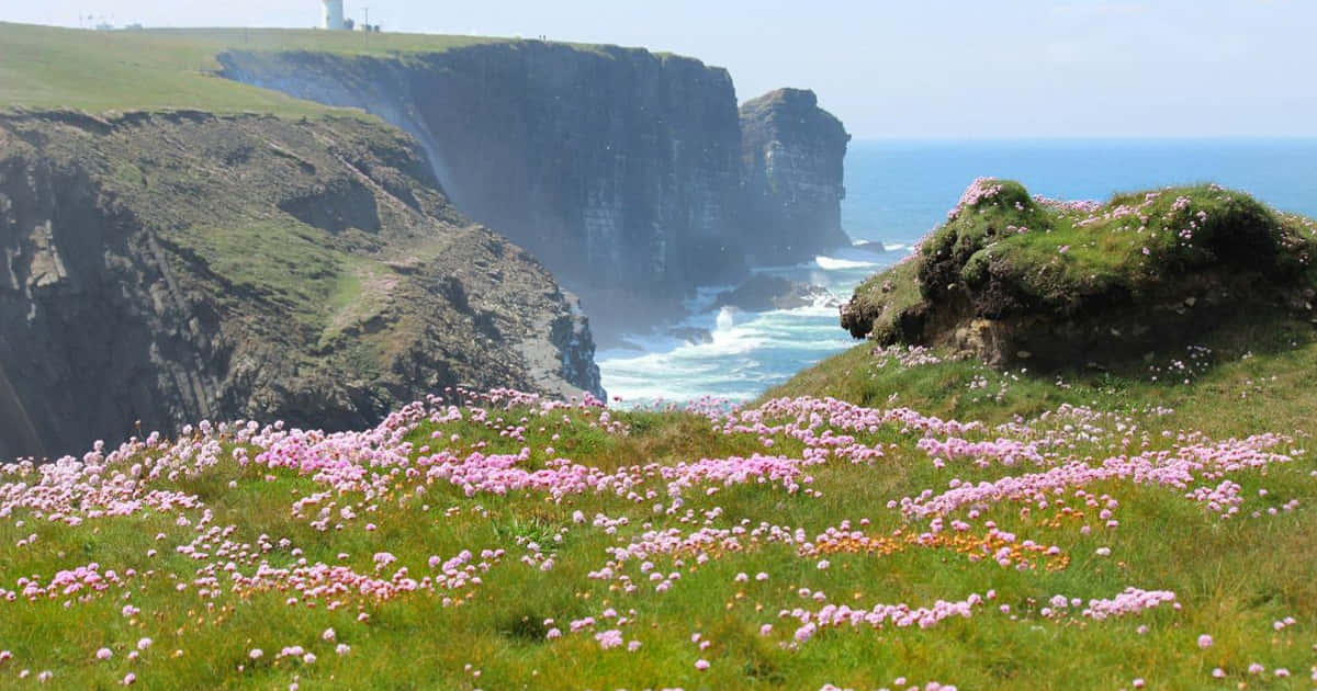 Slow Travel in Irland zeigt euch die Schönheit, die die meisten Besucher verpassen